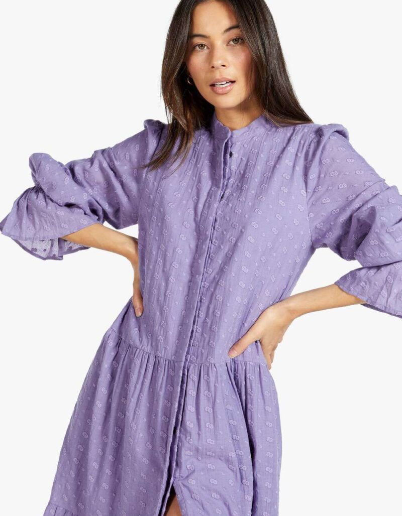 Iowa Dress - Image 2